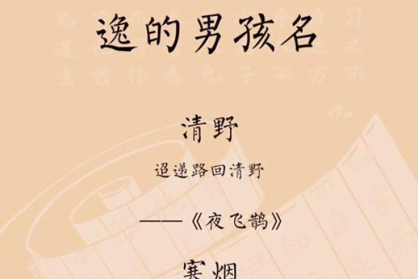 名字风云录：解读古今中外独特名字的文化内涿