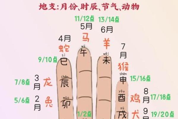 手中乾坤：热门手相种类大揭秘