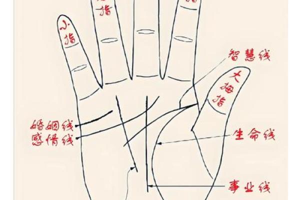 手掌上的秘密：揭秘手相读心术