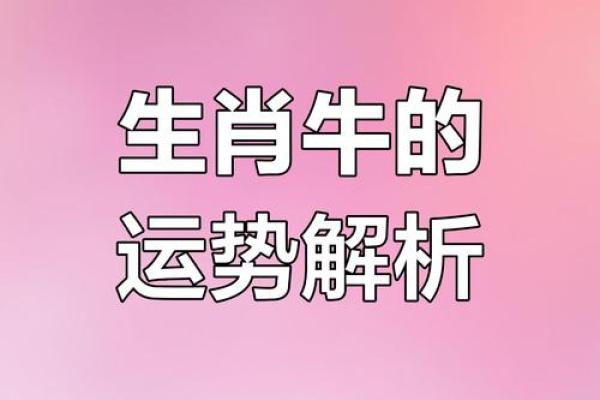 2017属牛女运势：金光闪闪的幸运之道