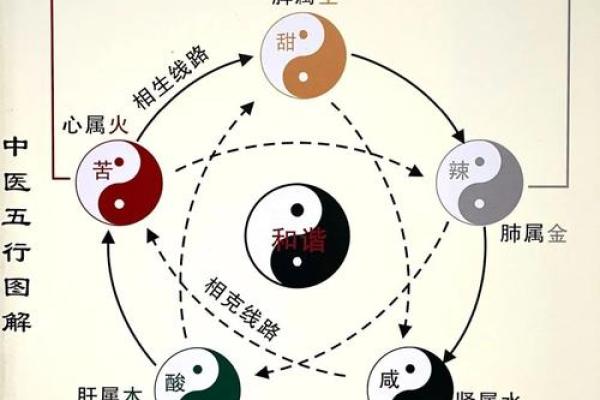 五行学说在人体器官中的体现
