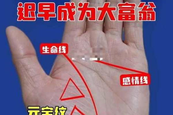 手相宝典：一探财锦宫的财运奥秘