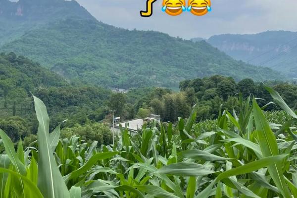风水宝地助你找到真爱