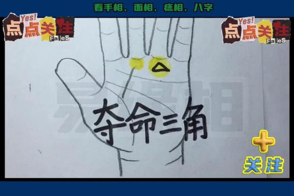 麻衣手相秘术，揭秘命运走势！