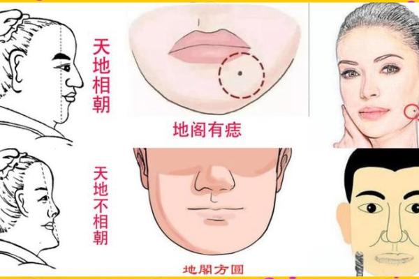 面相解析：下颌线条与性格命运的微妙关系
