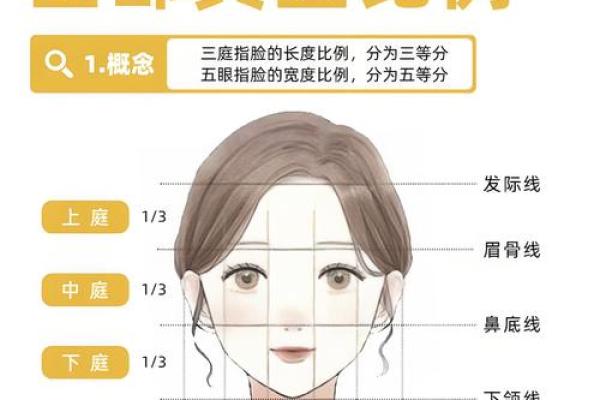 面相解析：下颌线条与性格命运的微妙关系