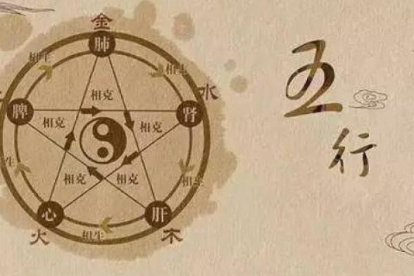泊五行属什么解析