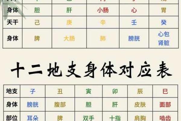 出生的人与天干地支的缘分