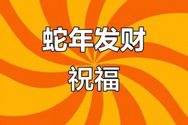 蛇年每月运势揭秘：运势起伏，财运亨通