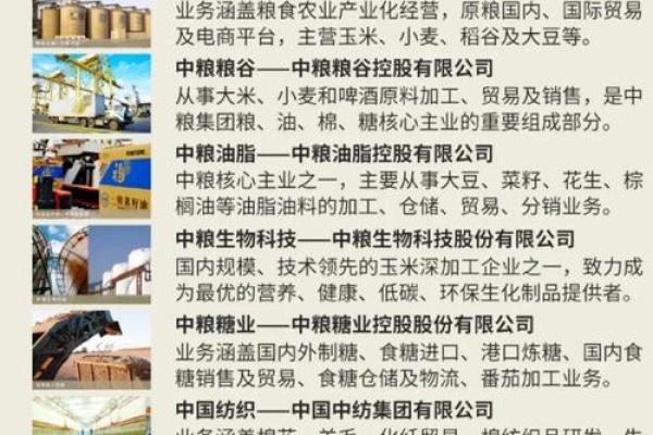 粮油贸易公司起名技巧与创意建议大全