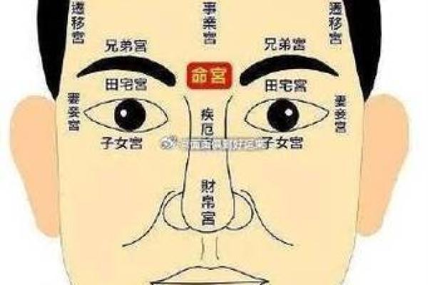 面相解析：颧骨宽面相的个性特征与运势解析