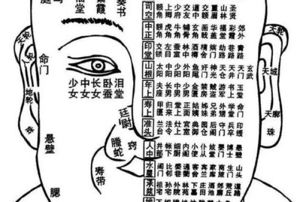 嘟嘴男面相：揭秘财富运势的神秘符号
