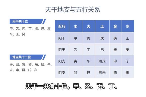 地支之歌：五行阴阳中的隐秘乐章