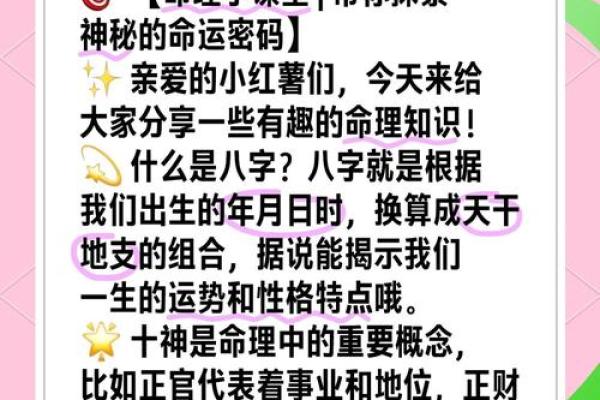 玄真阴阳，揭秘命运密码
