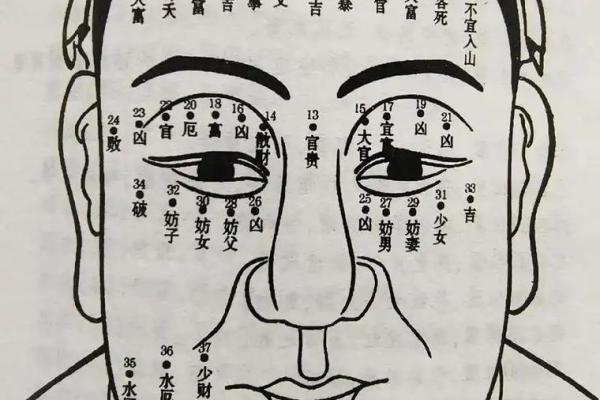 面相揭秘：解读面相中的智慧与命运密码