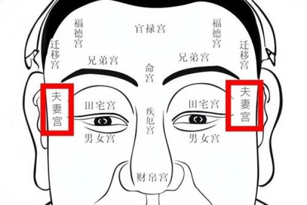 面相揭秘：解读面相中的智慧与命运密码