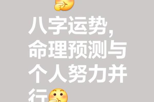 精准测算运势，助你把握未来机会