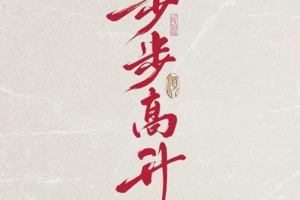 岩燕之翼，翱翔人生运势新篇章