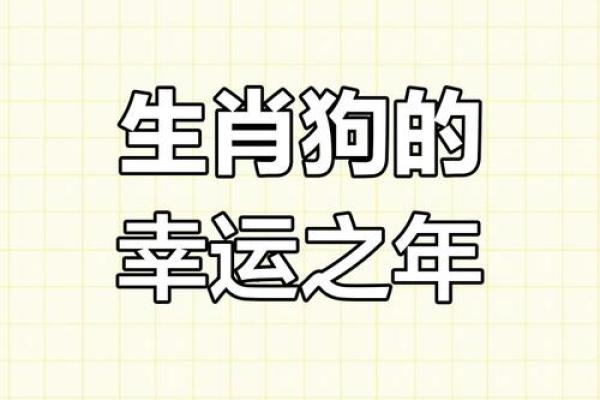 属狗17年运势：揭秘全年运势起伏，把握财运事业双丰收