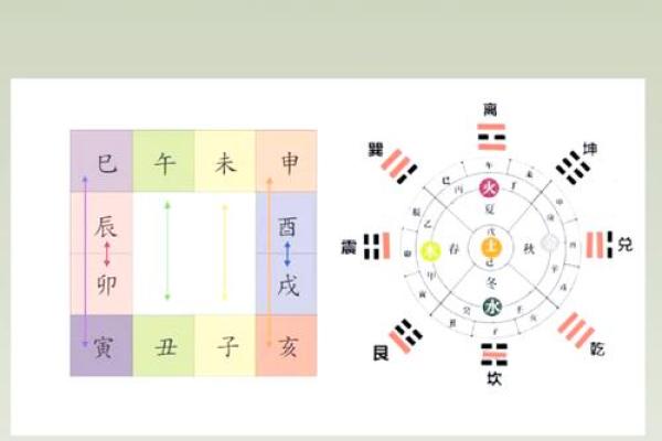揭秘十二地支与传统风水的关联