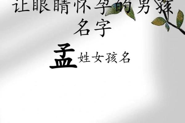 如何为孟姓宝宝取个有意义的名字