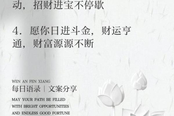 风水大师揭秘：招财进宝必看秘籍！