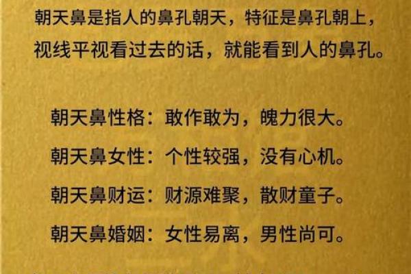 面相靠谱：揭秘五官之间的秘密语言