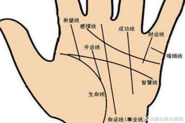 二婚女命运揭秘：手相图解带你洞悉婚姻之谜