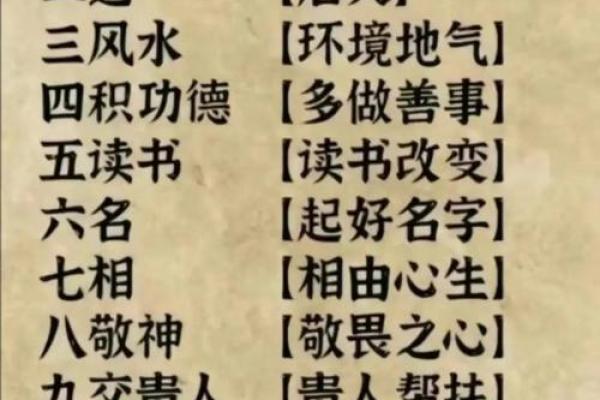 换新钱包助你开启好运气：风水学的深度解析