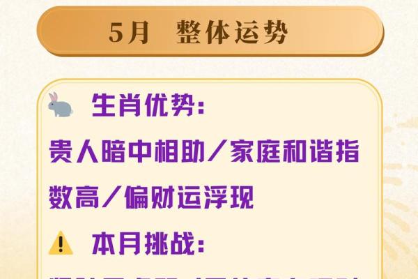 属兔的健康运势如何