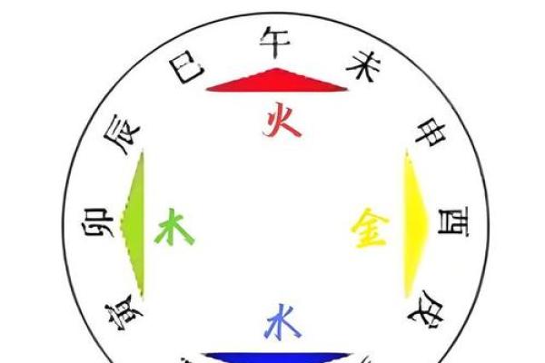 地支与身高的奇妙联系