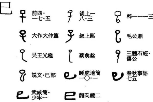 巳在十二地支中的独特地位