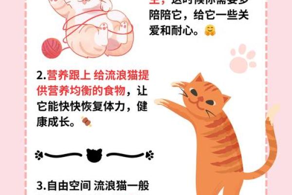 猫五五行与猫性格的深行层”的解析