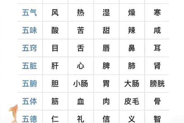 时辰与五行的奥秘解析