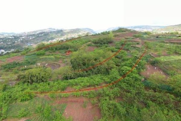 风水大师揭秘：如何让爱情风水助力美满姻缘
