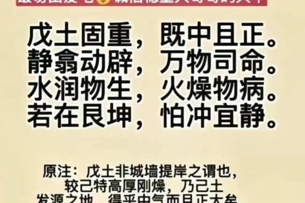 看透人生起伏：滴天髓命理经典秘籍大公开