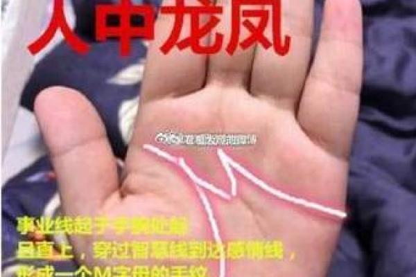 M字掌纹揭秘：命运轨迹大解析