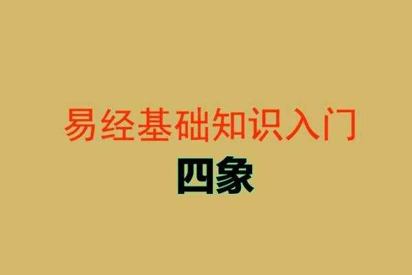 易学奇谈：跟随易经，探寻生命奥秘！