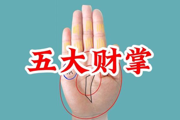 一看手相就能赚大钱？揭秘手相中的财运秘籍！