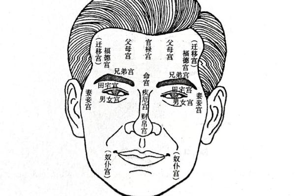 无眉男人面相之谜