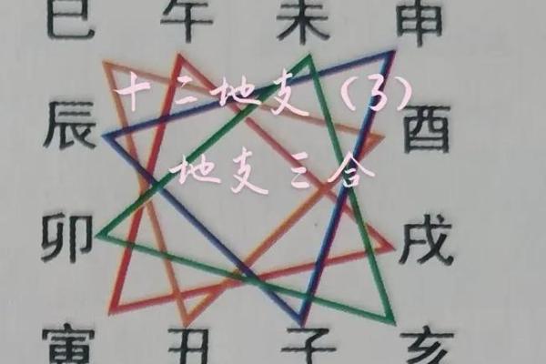 地支午戌寅对命运的影响与启示
