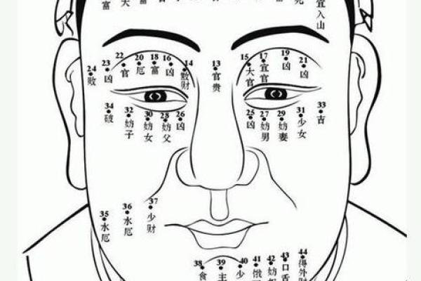 一痣定终身?揭秘屁股痣相的神奇预兆与人生走向 一痣定终身?揭秘屁股痣相的神奇预兆与人生走向