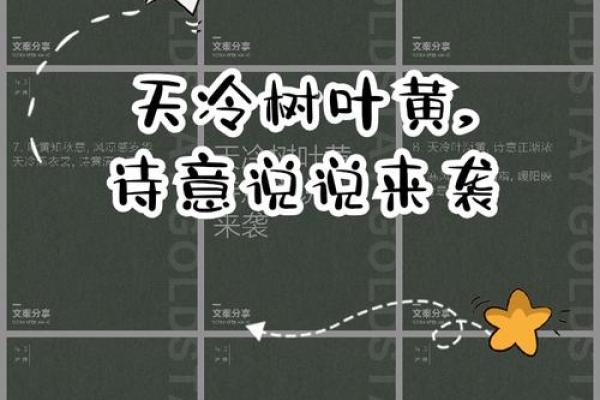 黄语甜：蕴含诗意与甜蜜的姓名，命运之光闪耀