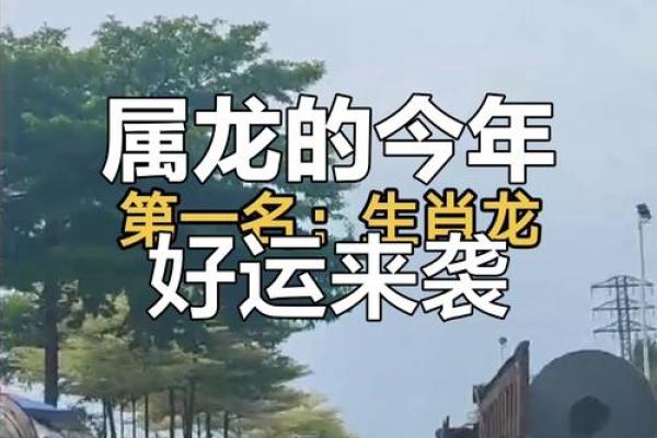 龙眉凤眼，运势亨通：揭秘真正龙眉面相的奥秘