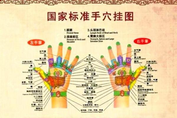 掌纹奥秘：揭秘你的命运密码