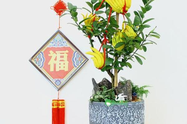 佛手花风水秘籍，轻松招财旺运，快来学！