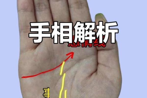 美人手相揭秘：环纹魅力解析