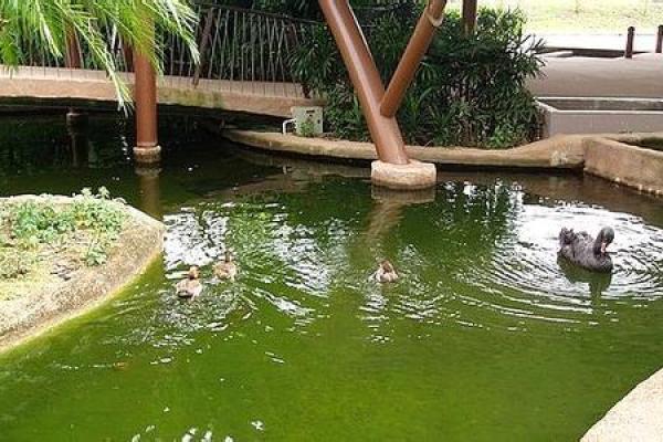 农村住宅前池塘风水：旺财聚宝的秘密之地