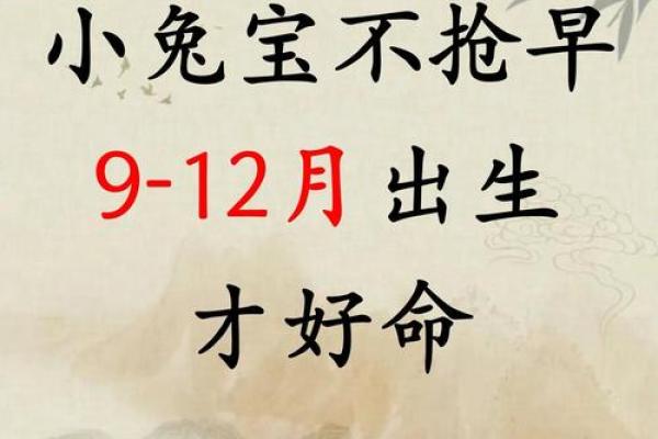 金鸡独立，智慧宝宝名扬四海