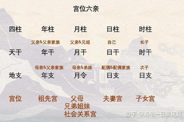 女命地支正官：命理中的权力象征